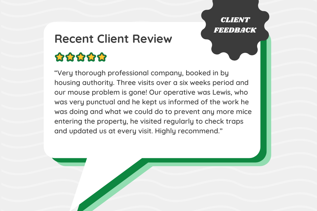 Ark Customer Feedback